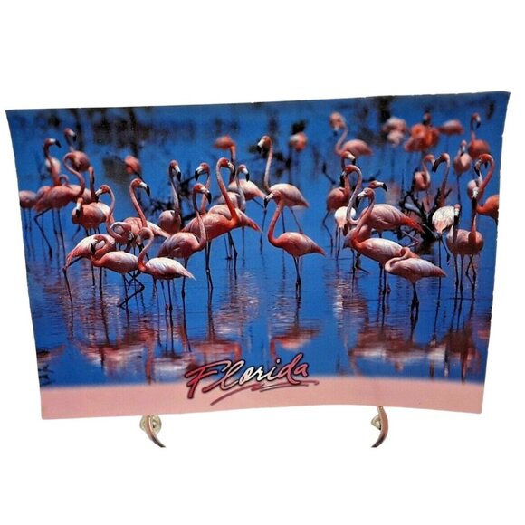 The Postcard Factory Pink Flamingos Florida Tropical coastal retro Spring Break - Picture 1 of 2